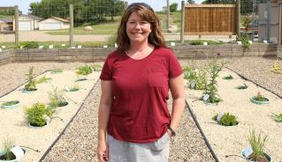 Weed Identification Garden