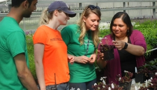 Dr. Poonam Singh standing on the right side of the picture inside a greenhouse, showing a plant with red leaves and white flowers to three students on the left side of the picture.