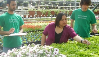 Dr. Poonam Singh reaching her hand over a table full of green plants at a greenhouse, while two male students at both her sides are watching and taking notes.