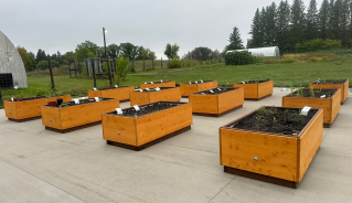 Wooden plots in the weed identification garden.