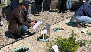 Students looking at the plants in the weed identification garden.