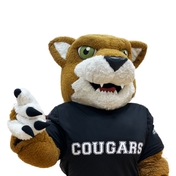 Caccey the Cougar