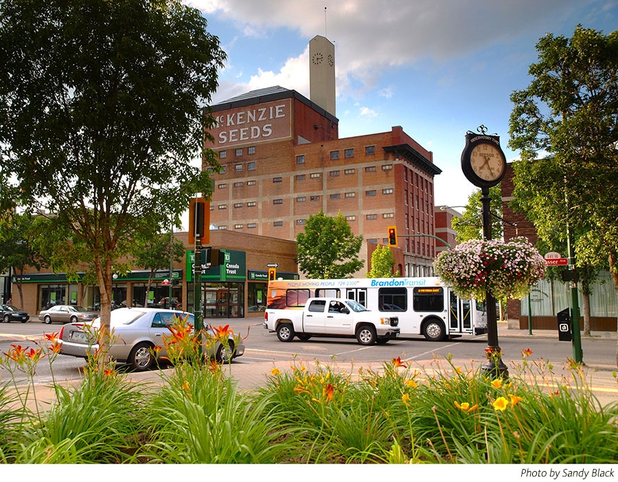 Brandon downtown with bus and trees