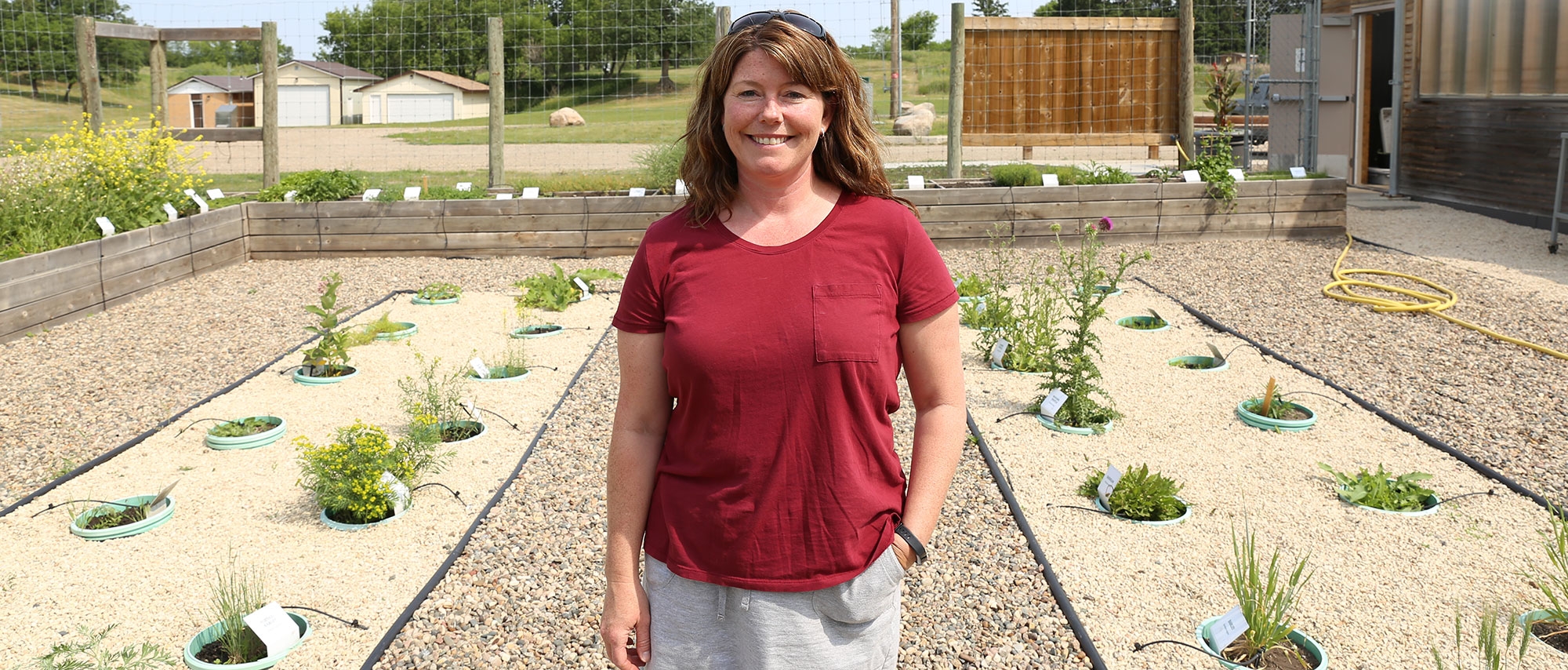 Weed Identification Garden