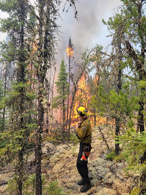 Jerra Green fight a forest fire.