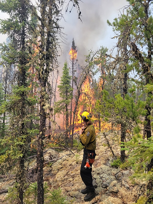 Jerra Green fight a forest fire. Jerra Green fight a forest fire.