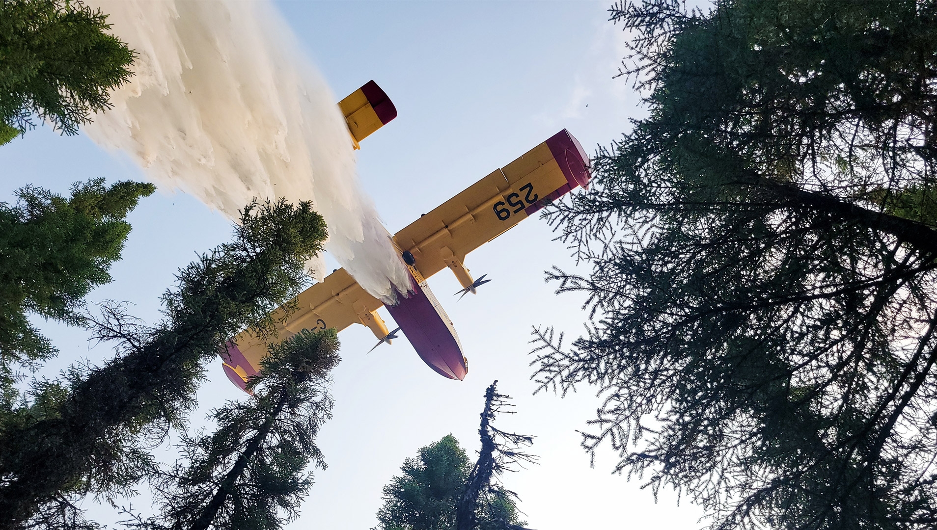 A water plane putting out a fire.