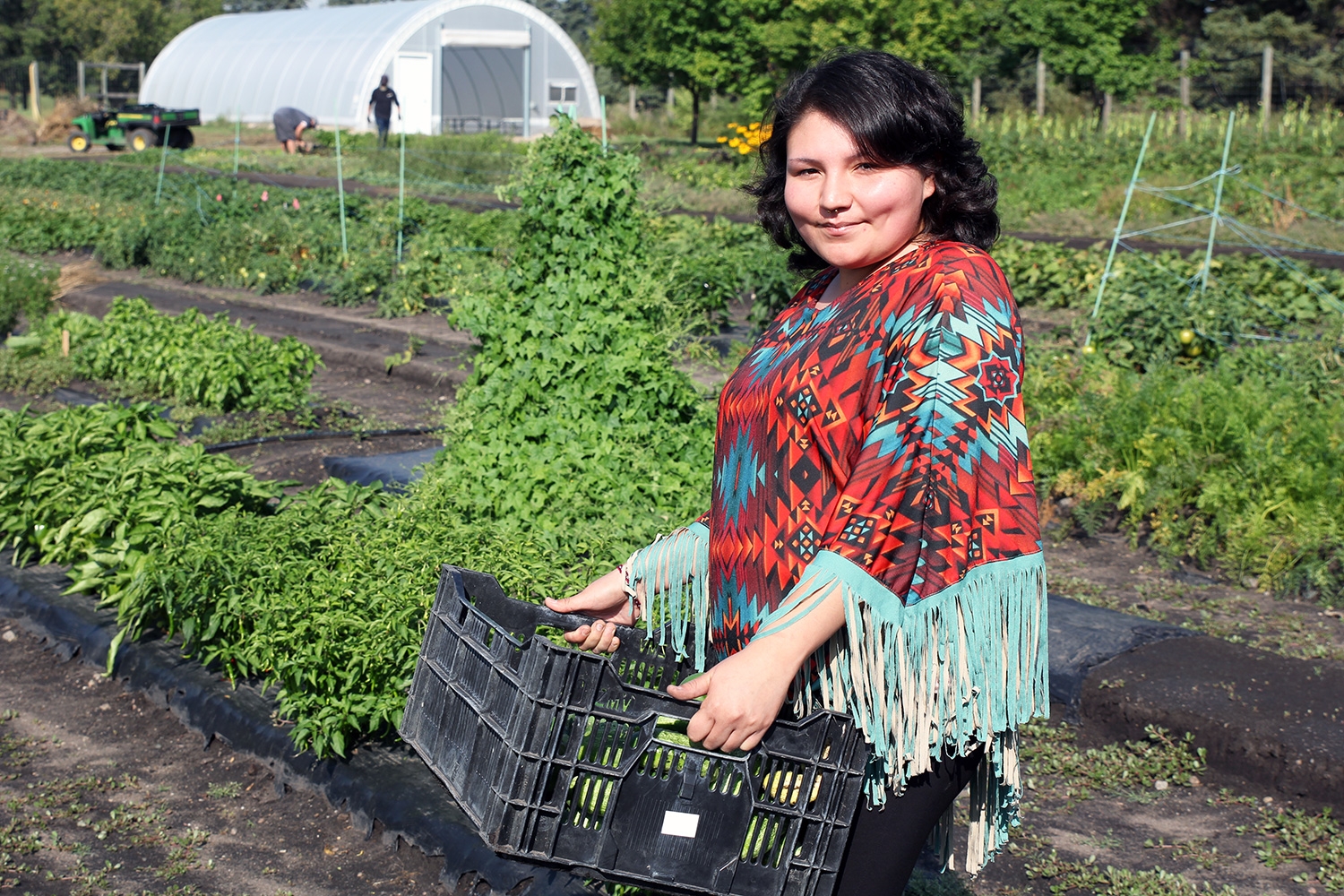 Grow Plot Grow Plot
