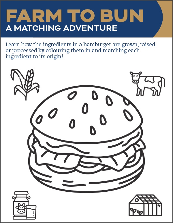 Farm to Bun activity sheet page.