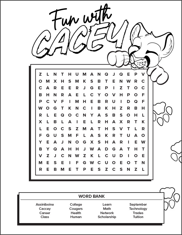 Cacey Activity Sheet