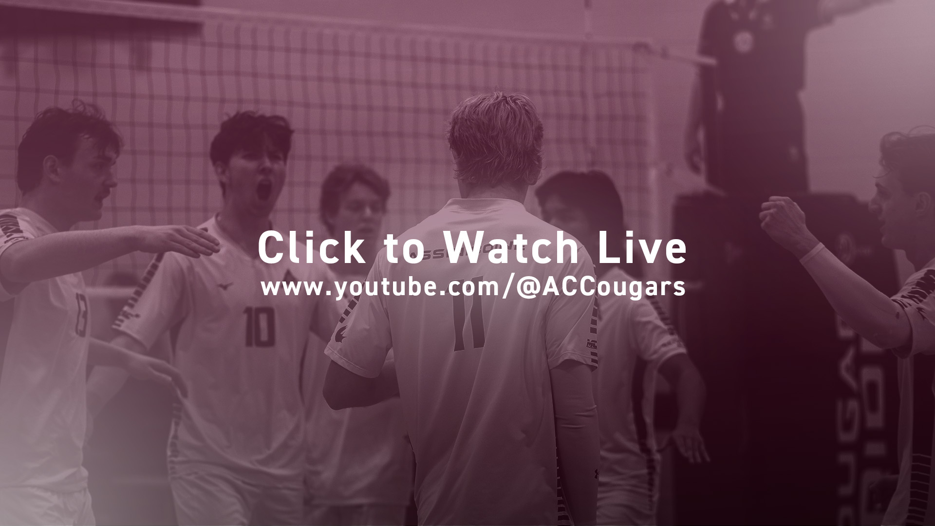 Click to watch live.