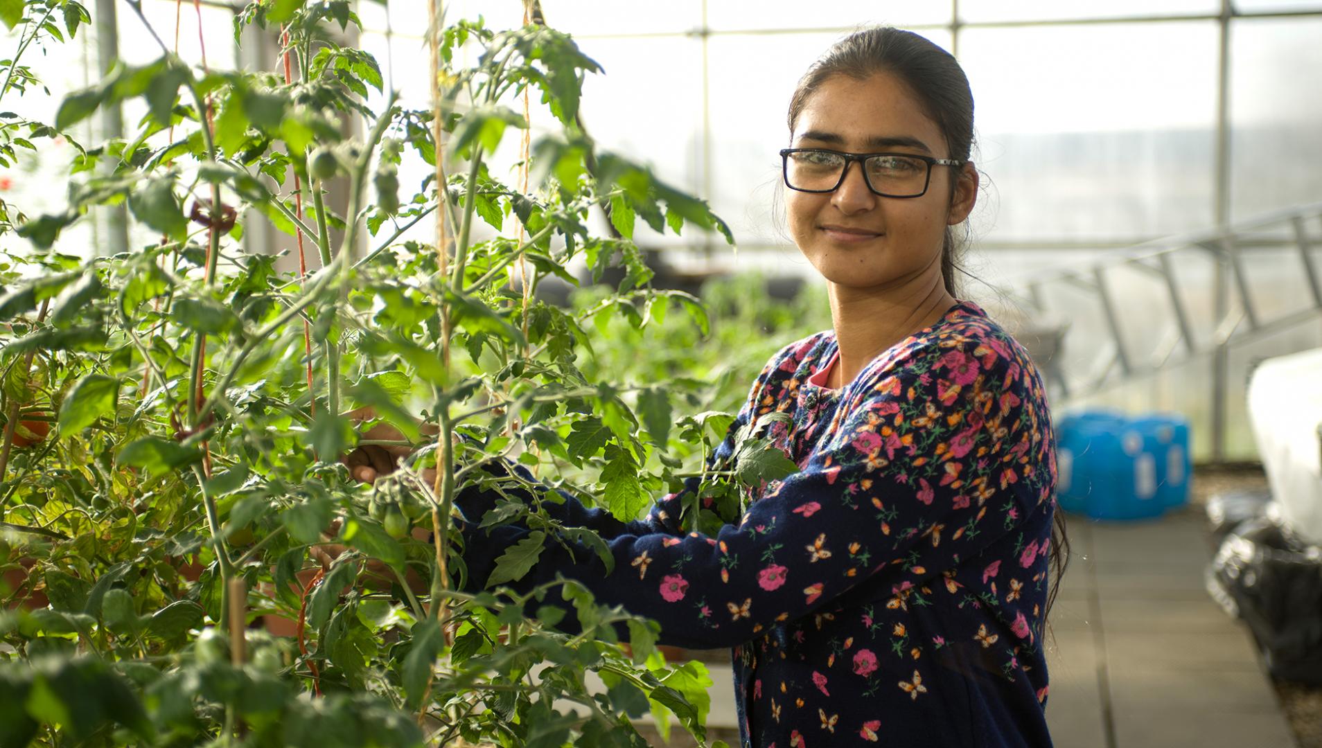 student working in a greenhouse