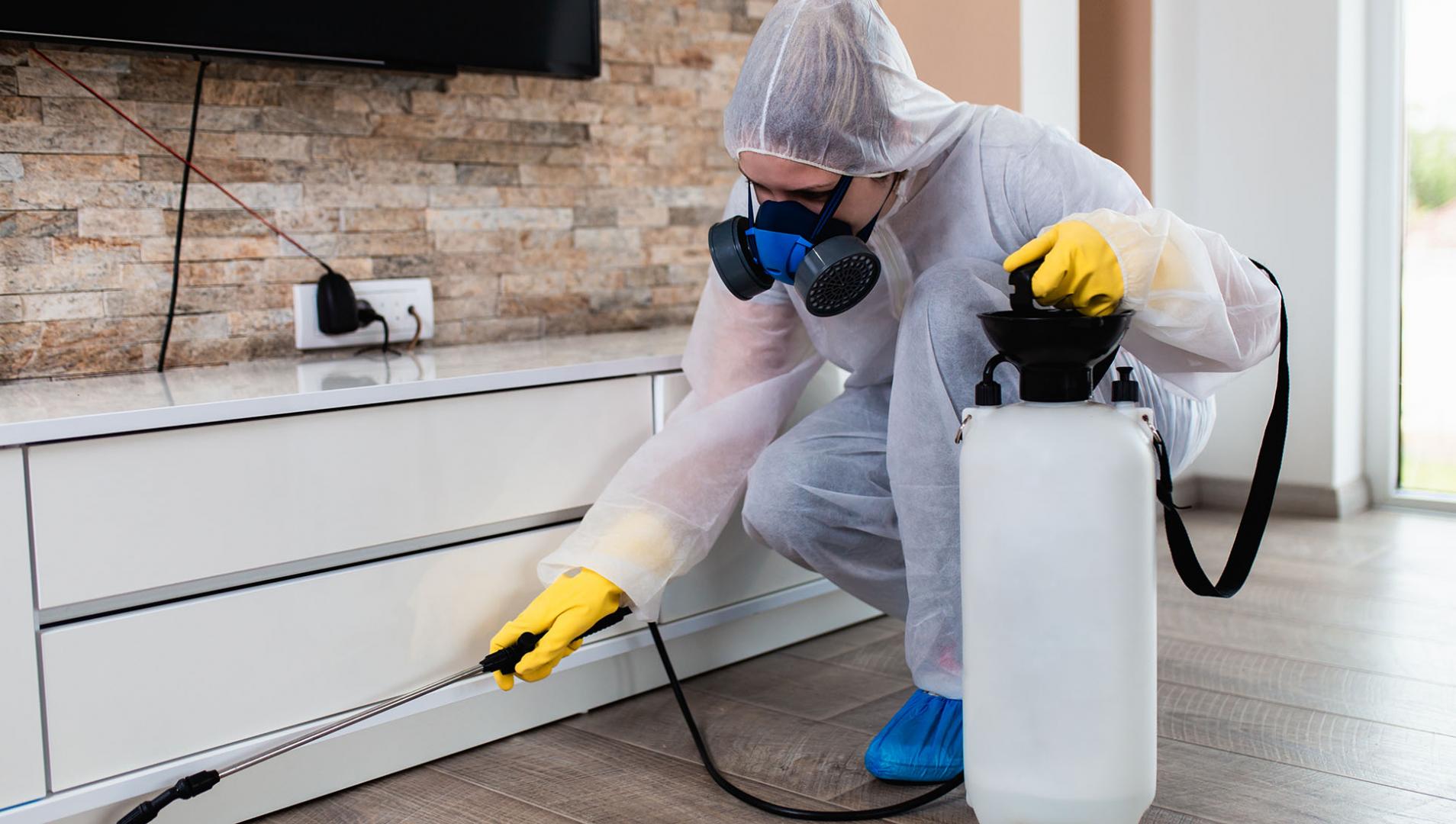person applying pesticide to a home
