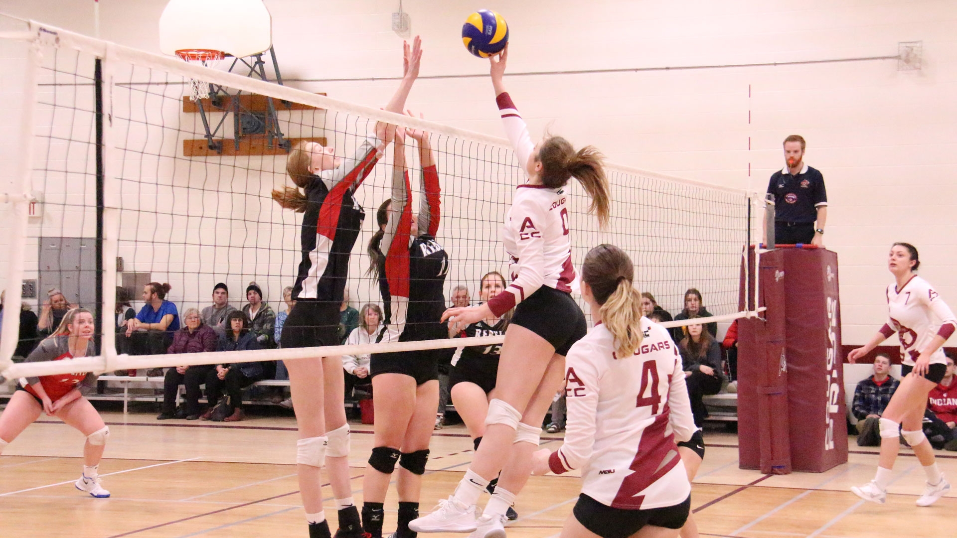Women's Volleyball
