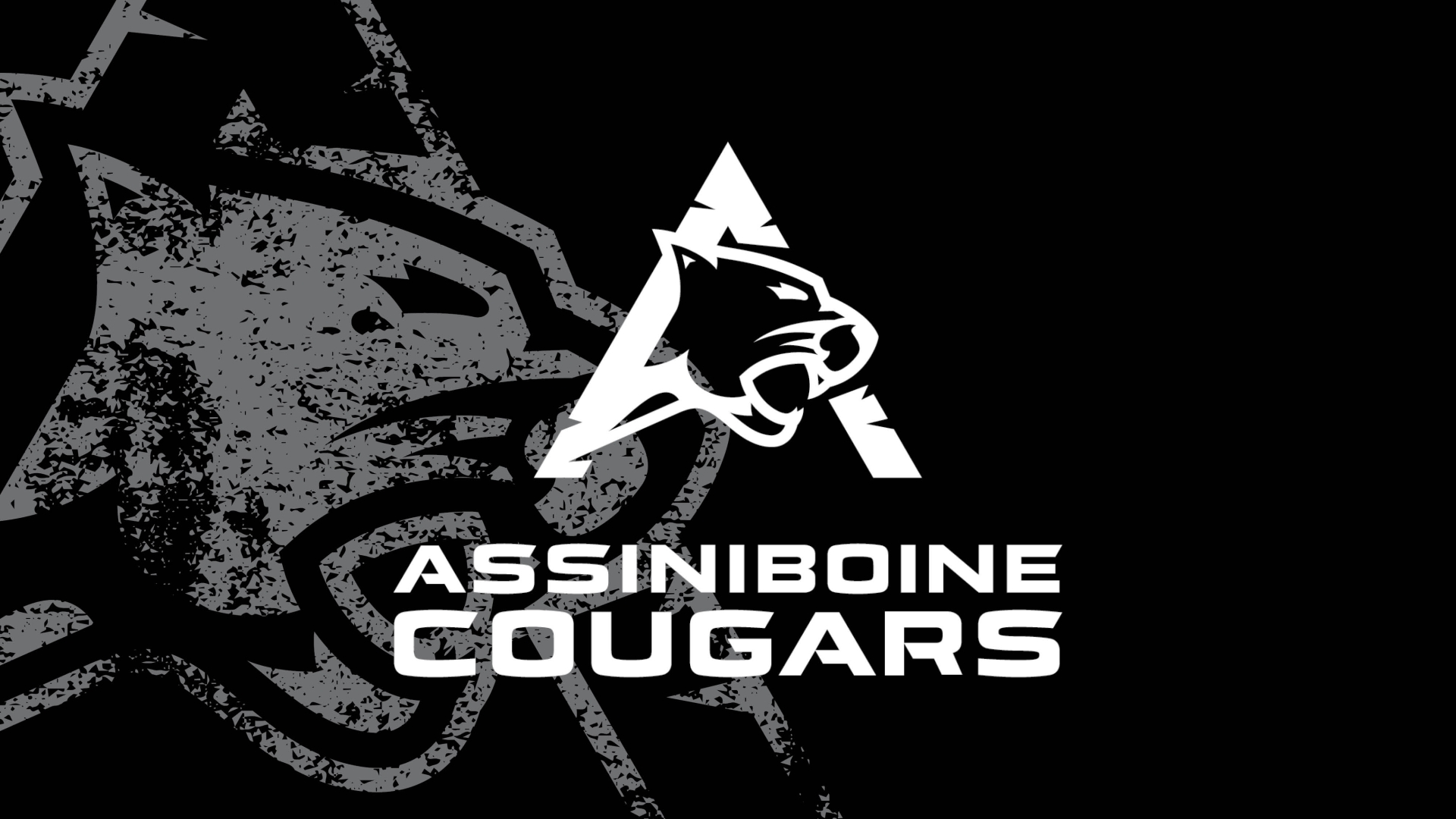 Cougars holding image