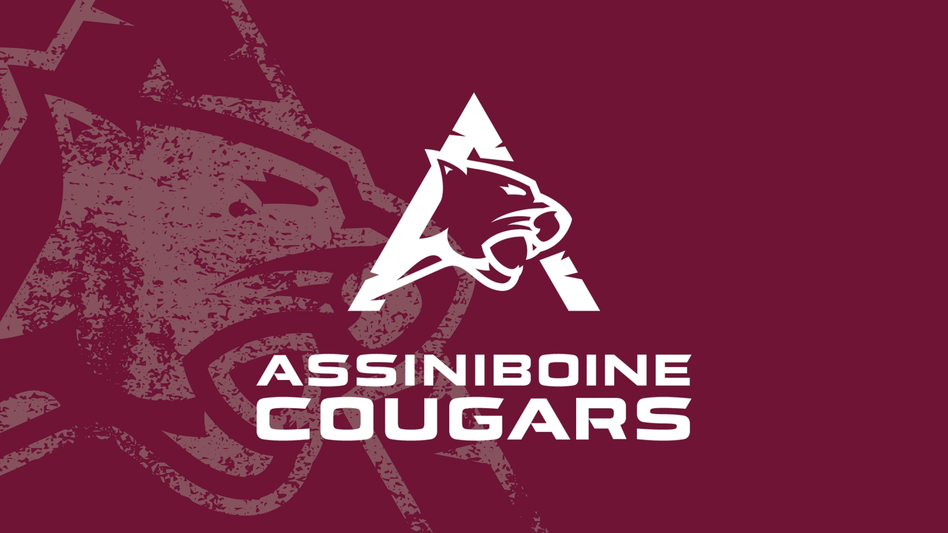 Cougars holding image