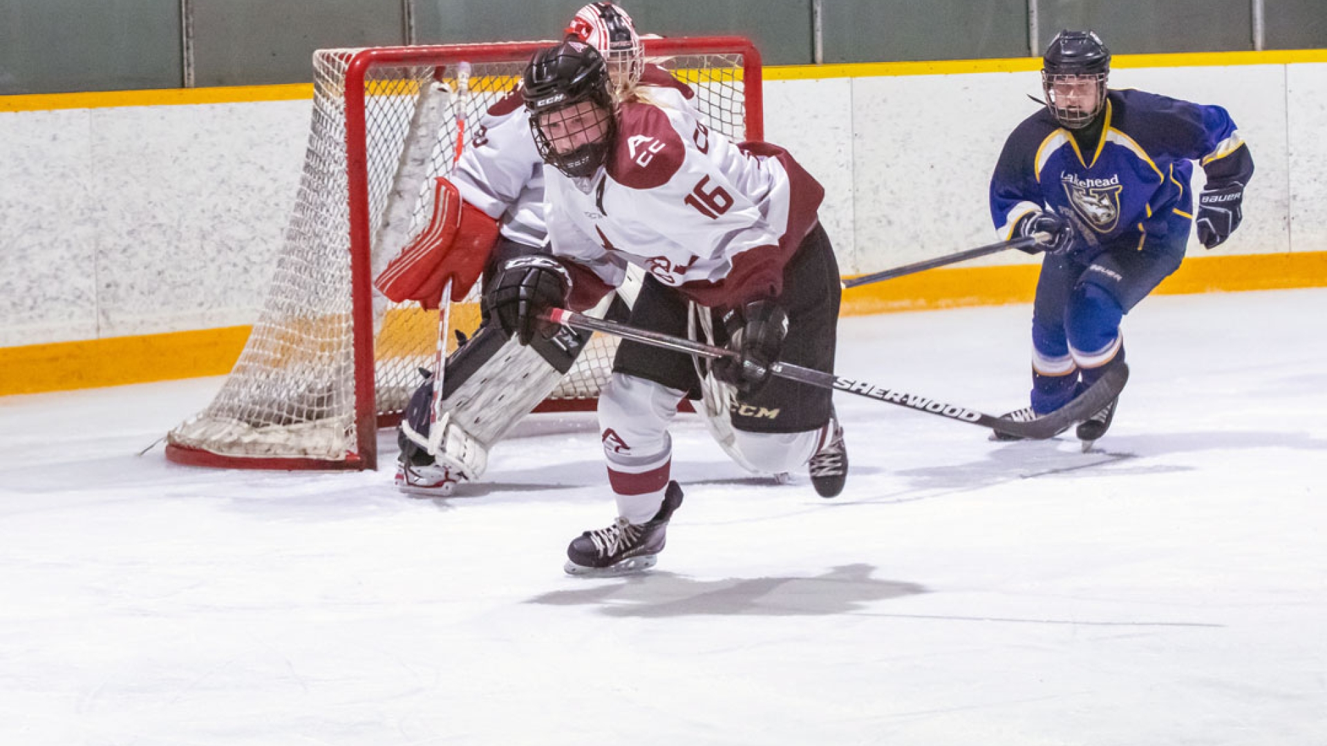 Haylee Anderson skates after the puck
