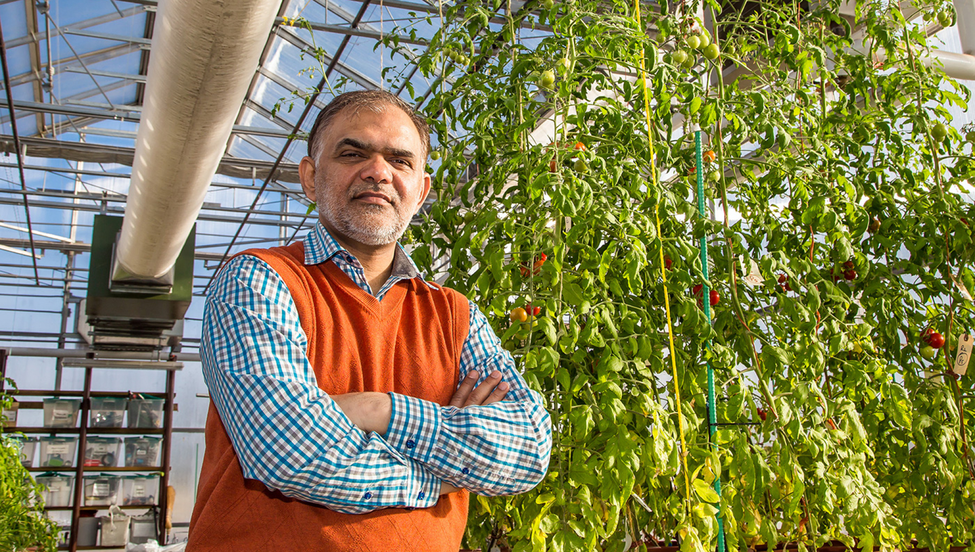 Dr Sajjad Rao stands inside the college's sustainable greenhouse