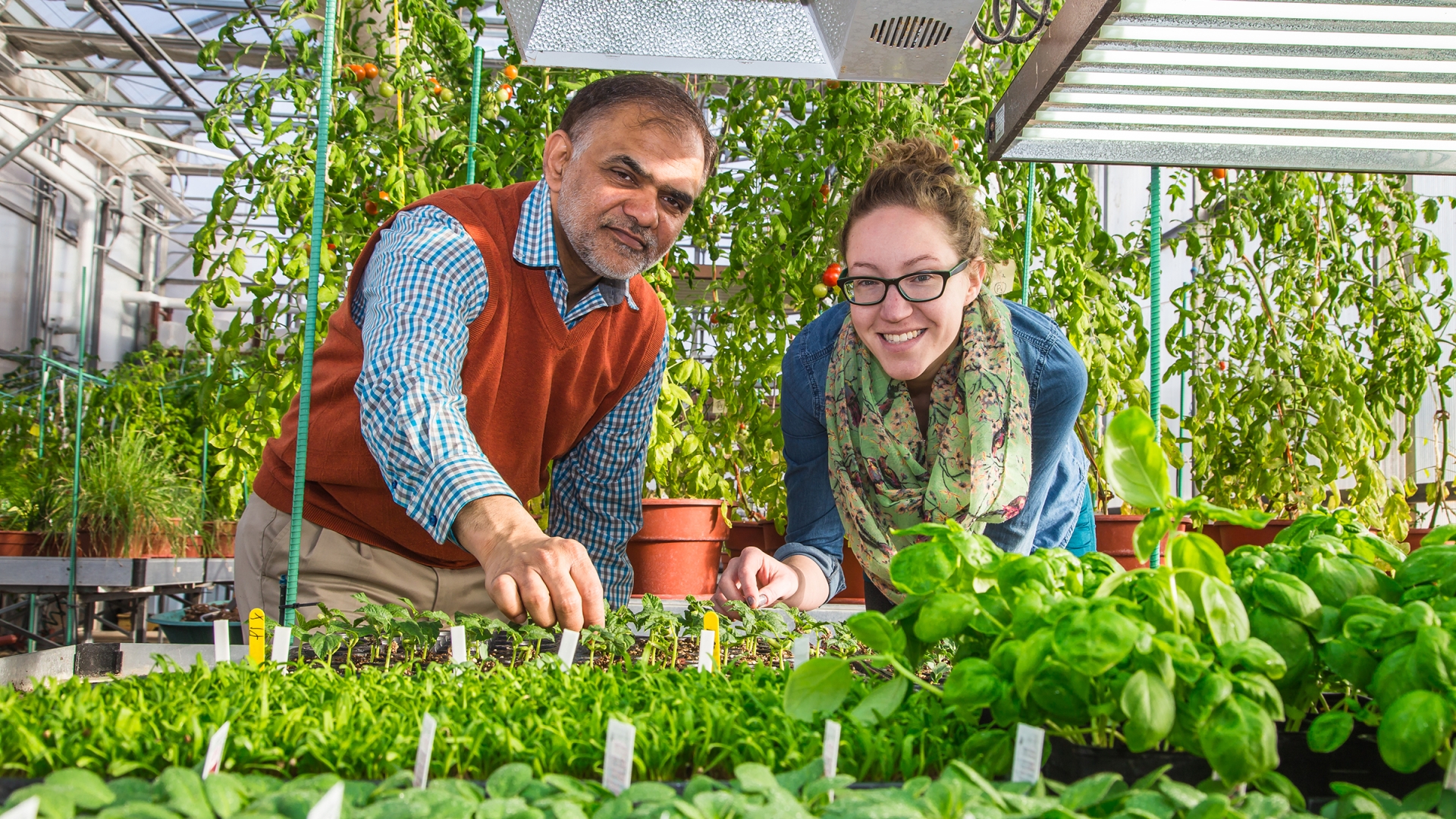 Student and instructor work in the greenhouse, surrounded by green plants