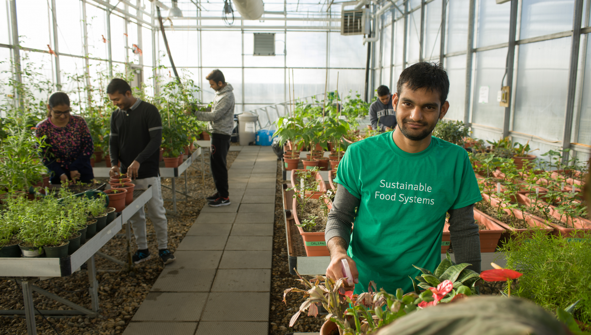 Student works in a greenhouse in the foreground while classmates work together behind him. 