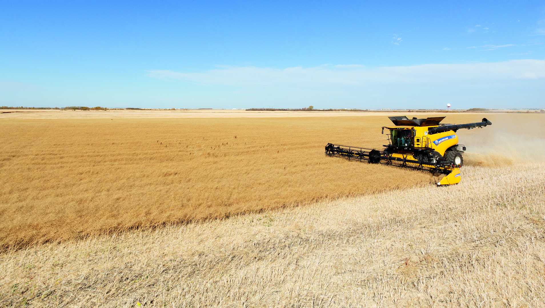 A New Holland combine in the middle right section of the photo moves along a field with a yellow gold crop.