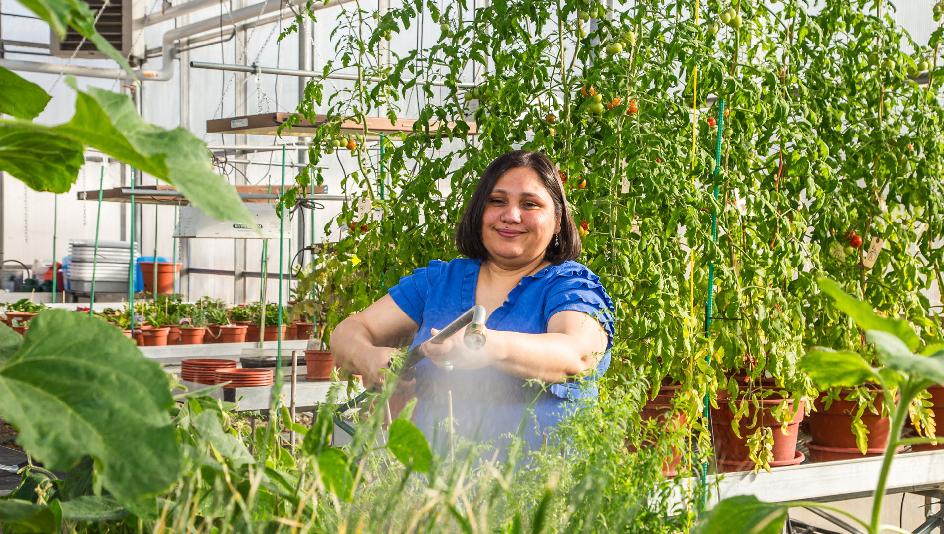 Dr. Poonam Singh stands just the the right of the centre of the photo with green plants in the background and foreground. She is wearing a blue t-shirt and holds a hose that is water the plants in front of her. 