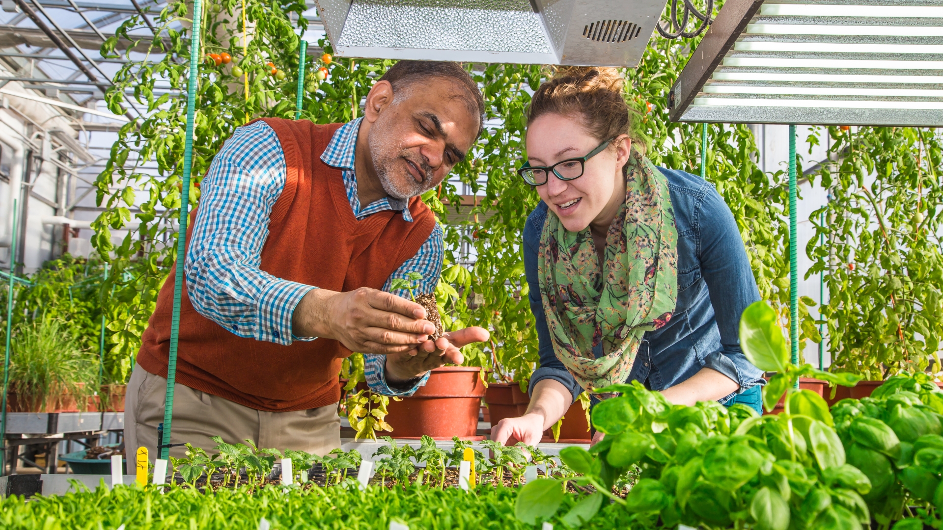 Sustainable greenhouse