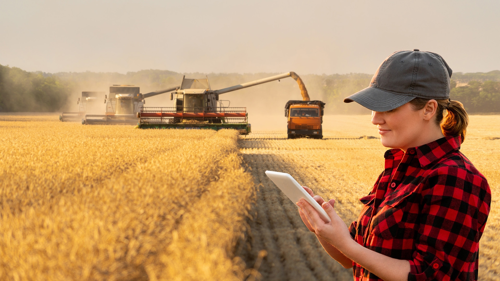 An agriculture professional in red plaid shirt and a grey cap standing with a tablet in the middle of a wheat field with three combines and a truck working in the background.