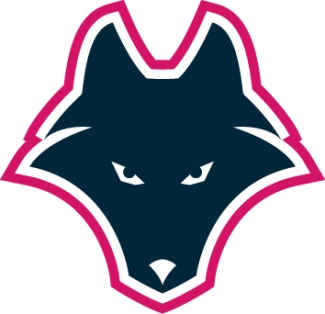 Northwestern Polytechnic
