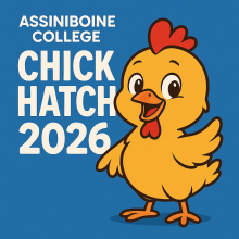 Chick hatch 2026