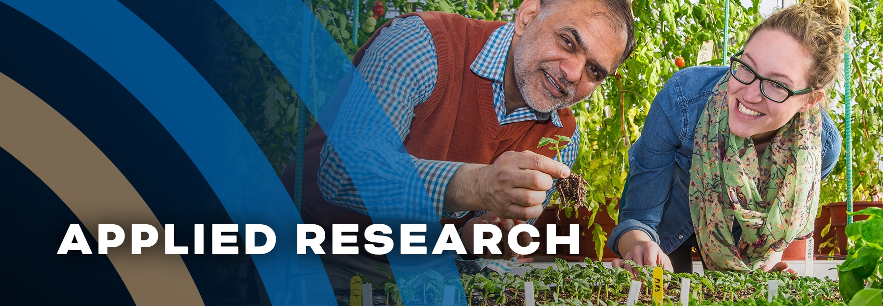 Dr. Sajjad Rao standing over a table full of small potted plants with a person standing beside him, and tall tomato plants in the background. He is holding one of the plants in his hand. Both people are smiling and looking at the camera.