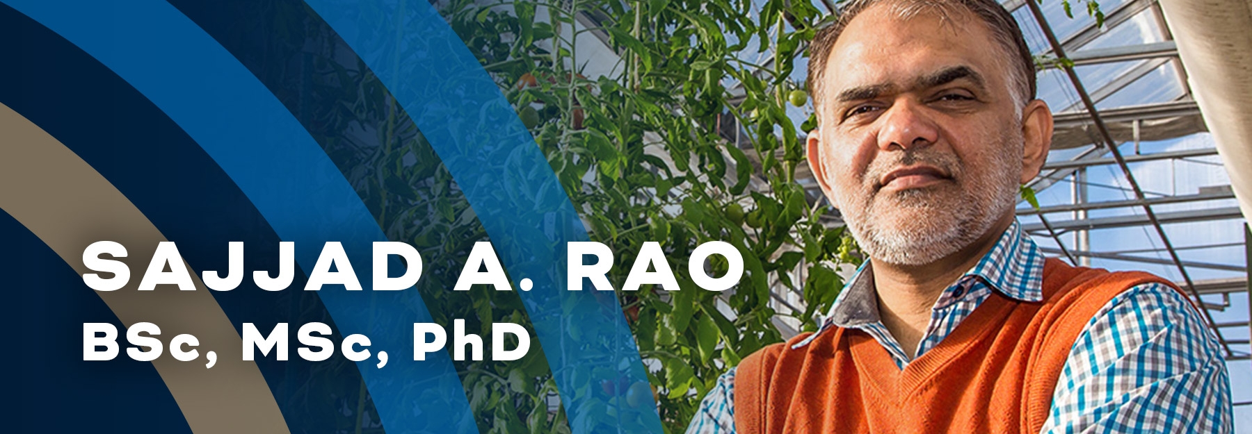 Dr Sajjad Rao standing in front of tomato plants and looking at the camera.