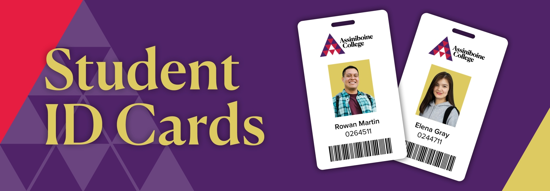 "Student ID cards" written in yellow over the left side of the picture, and two student ID cards on the right side of the picture, all on purple background.