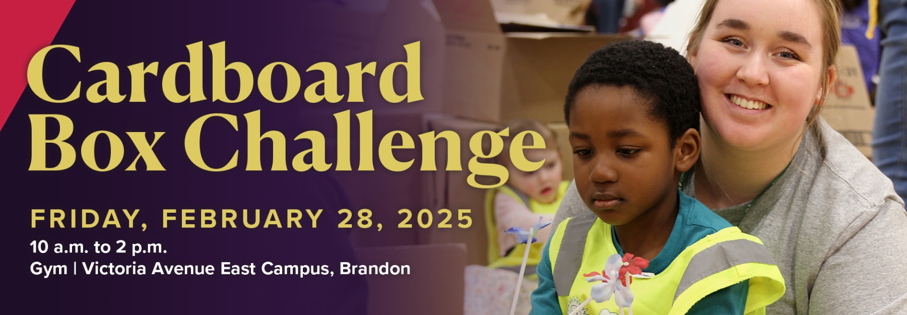 Cardboard Box Challenge, February 28, 2025.