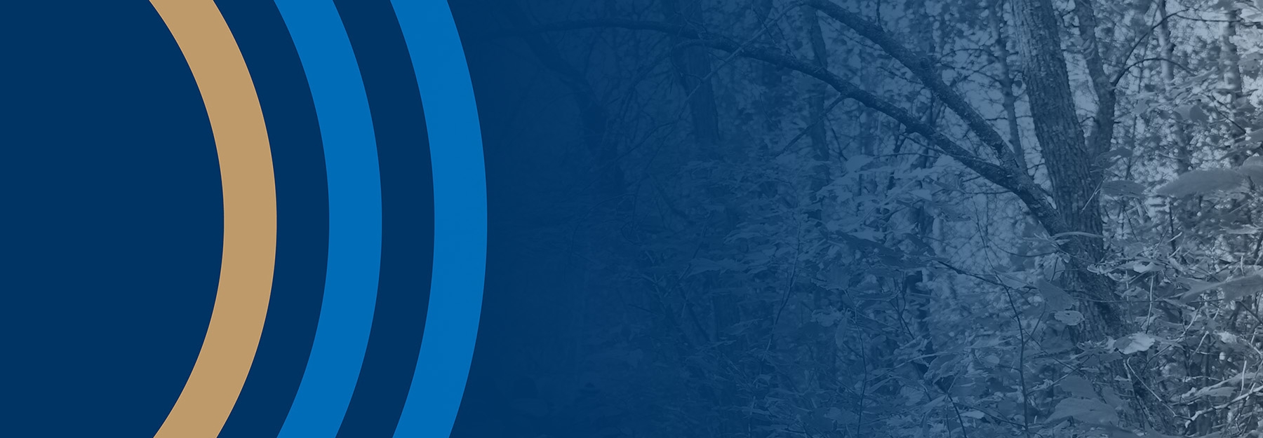 Dark blue background with three arches cutting through the left side of the picture.