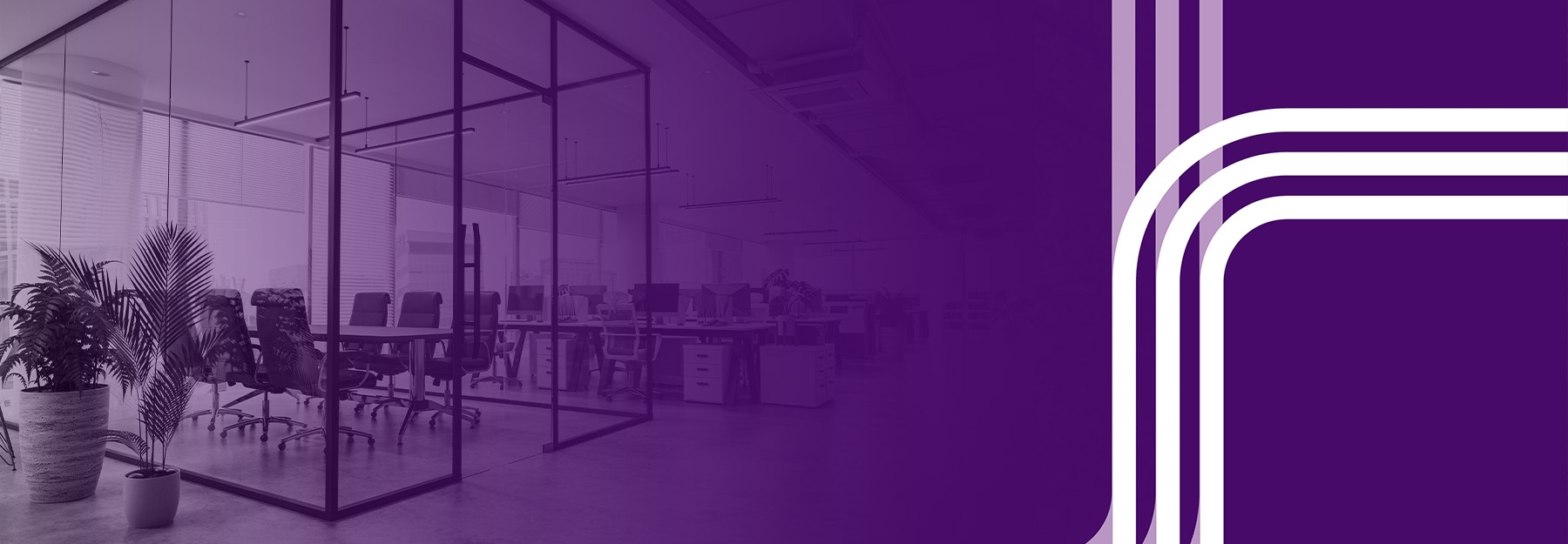 Purple background with three white lines flowing through the right side of the picture.