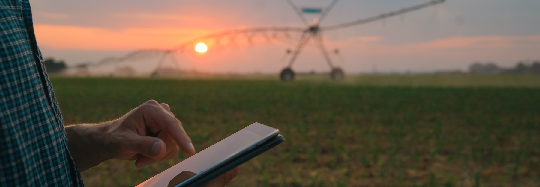 A person holding a tablet in a field at sunset.