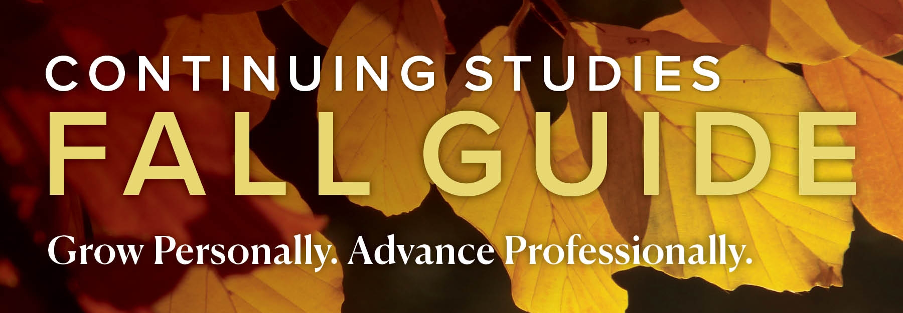 Continuing Studies Fall Guide. Grow personally. Advance professionally.