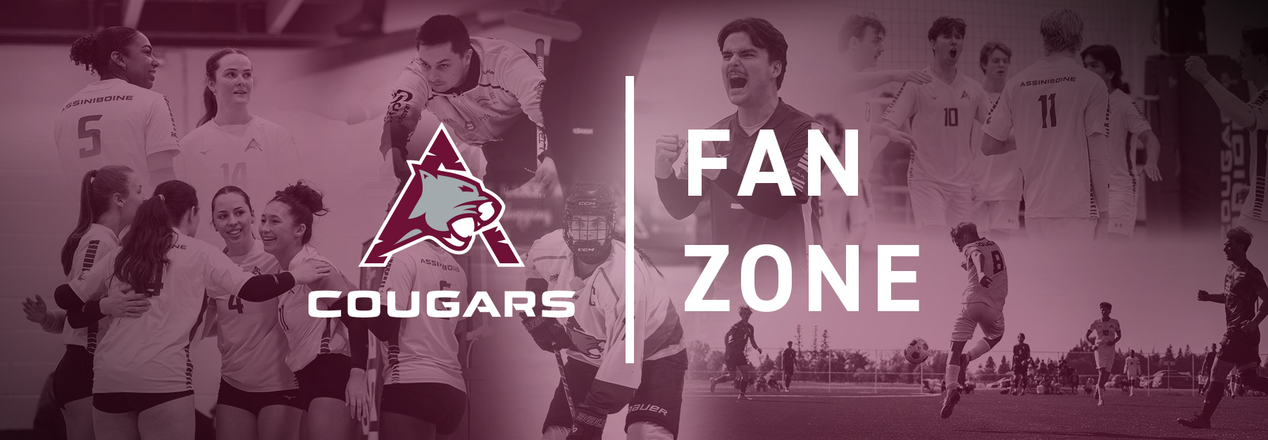 Assiniboine Cougars Fan Zone - photo collage of Cougars athletes.