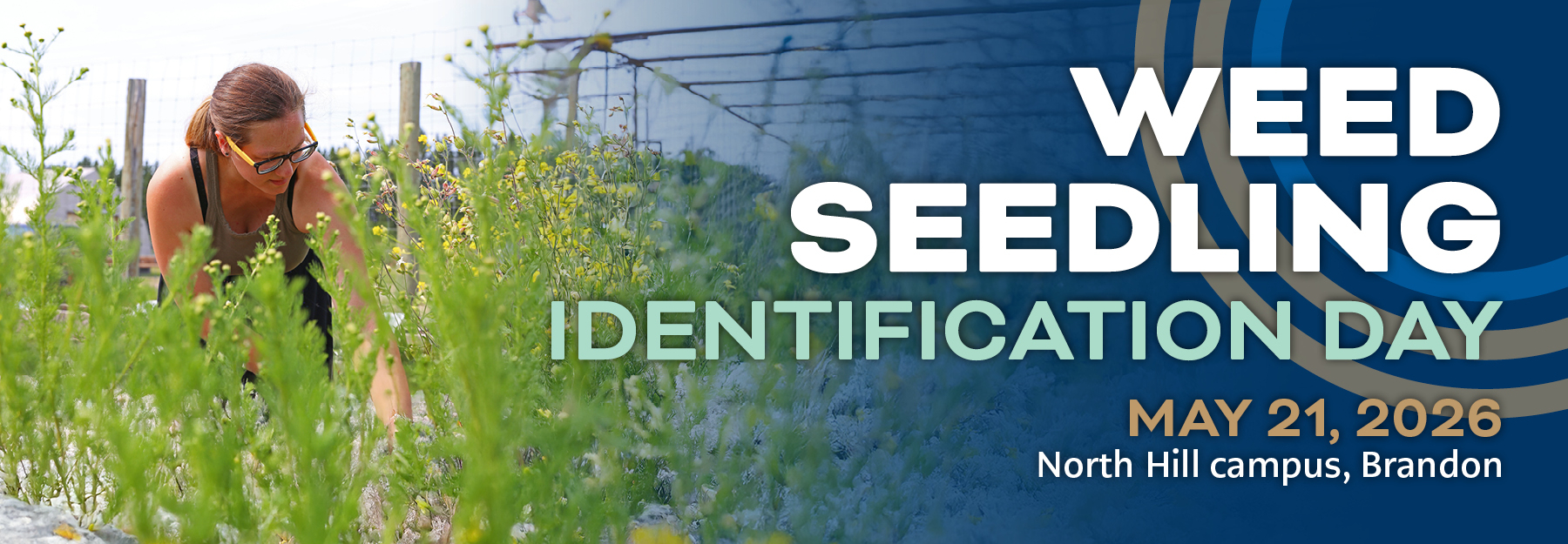 Weed Seedling Identification Day - May 21, 2026